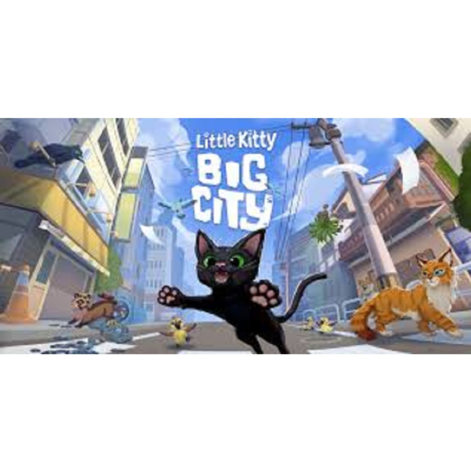 Image de l'épisode Un petit chat perdu