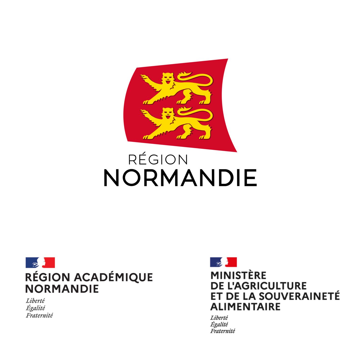 Image de l'émission
