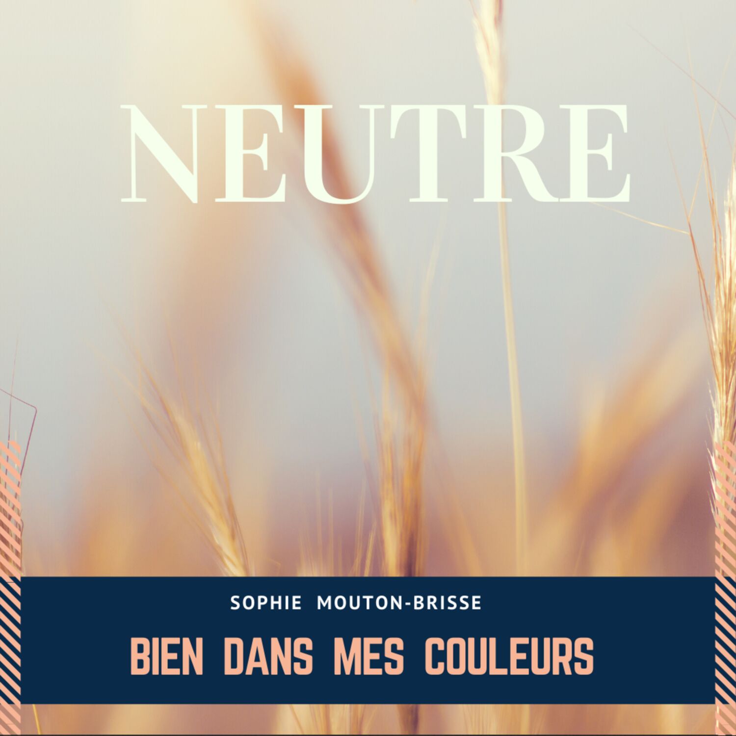 BIEN DANS MES COULEURS