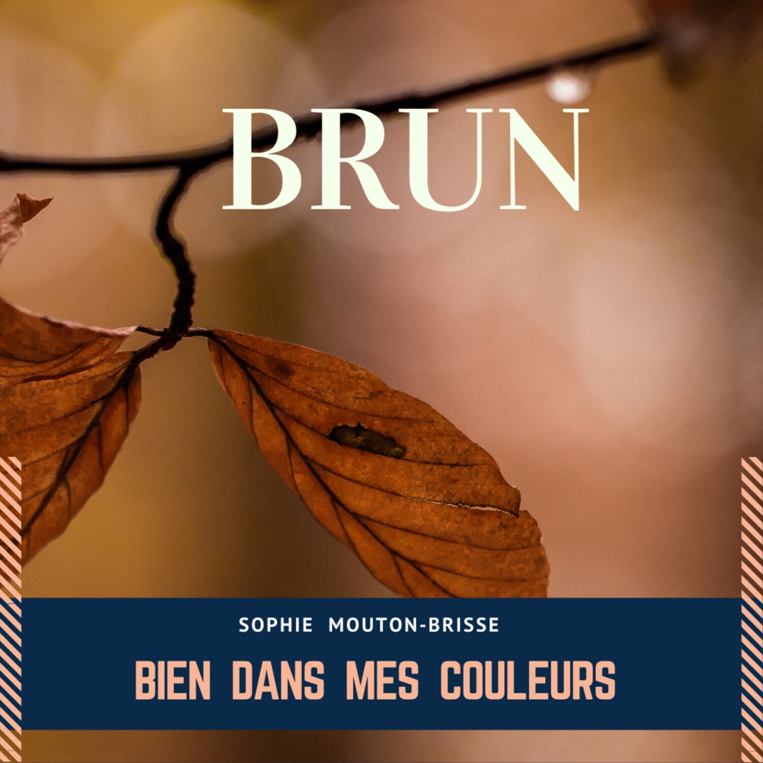 BIEN DANS MES COULEURS