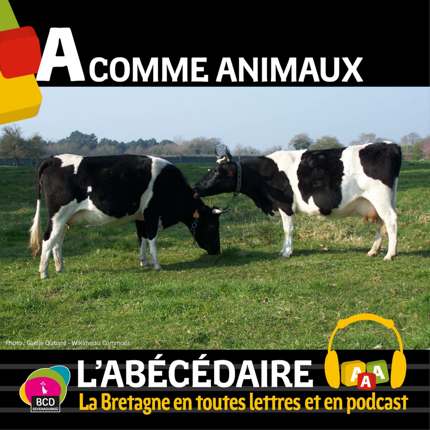 L\'Abécédaire de la Bretagne