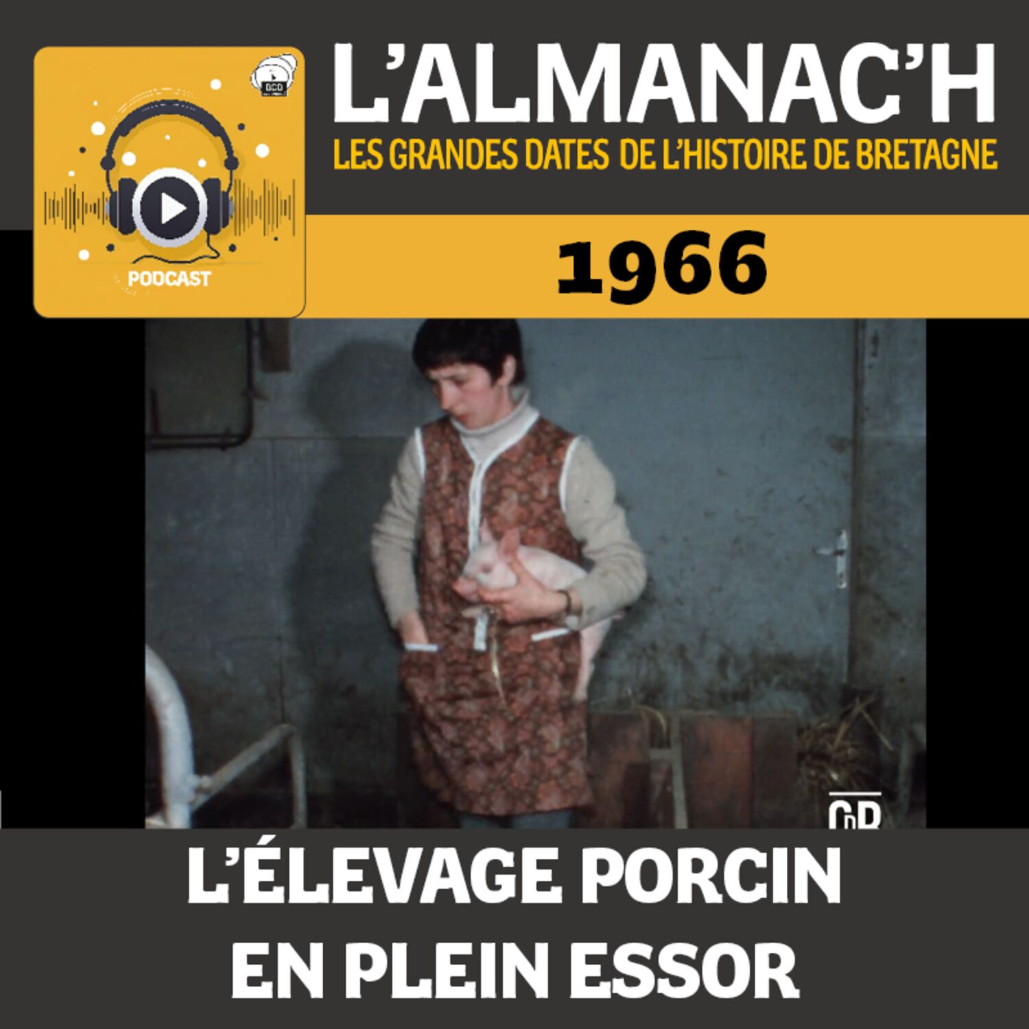 Le rôle méconnu des femmes dans l'essor des porcheries en 1966