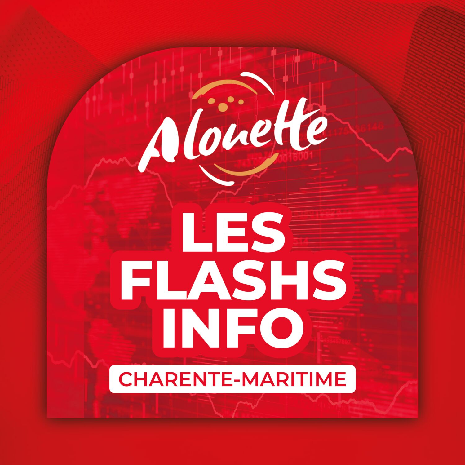 ALOUETTE - LES INFOS DU 19/11/2025 04H59 EN CHARENTE-MARITIME