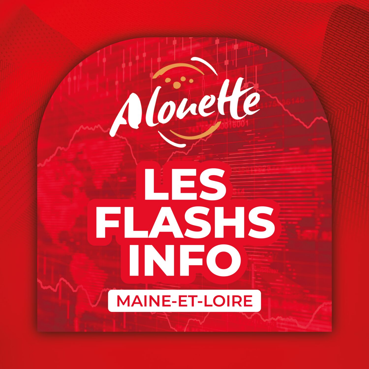 ALOUETTE - LES INFOS DU 20/11/2025 05H59 EN MAINE-ET-LOIRE