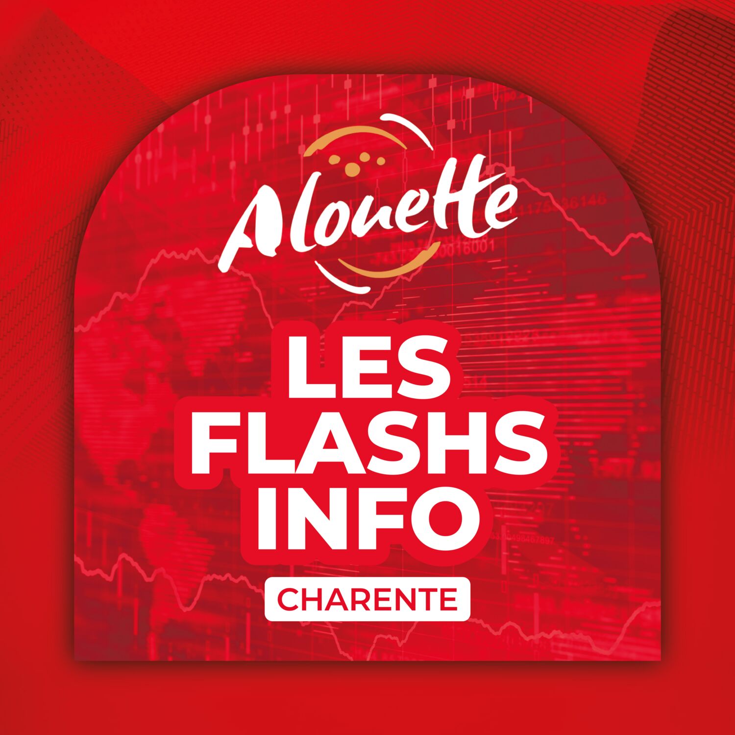 ALOUETTE - LES INFOS DU 19/11/2025 19H00 EN CHARENTE