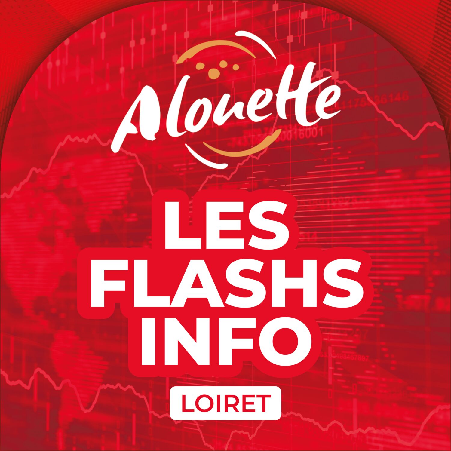 ALOUETTE - LES INFOS DU 05/12/2025 04H59 DANS LE LOIRET