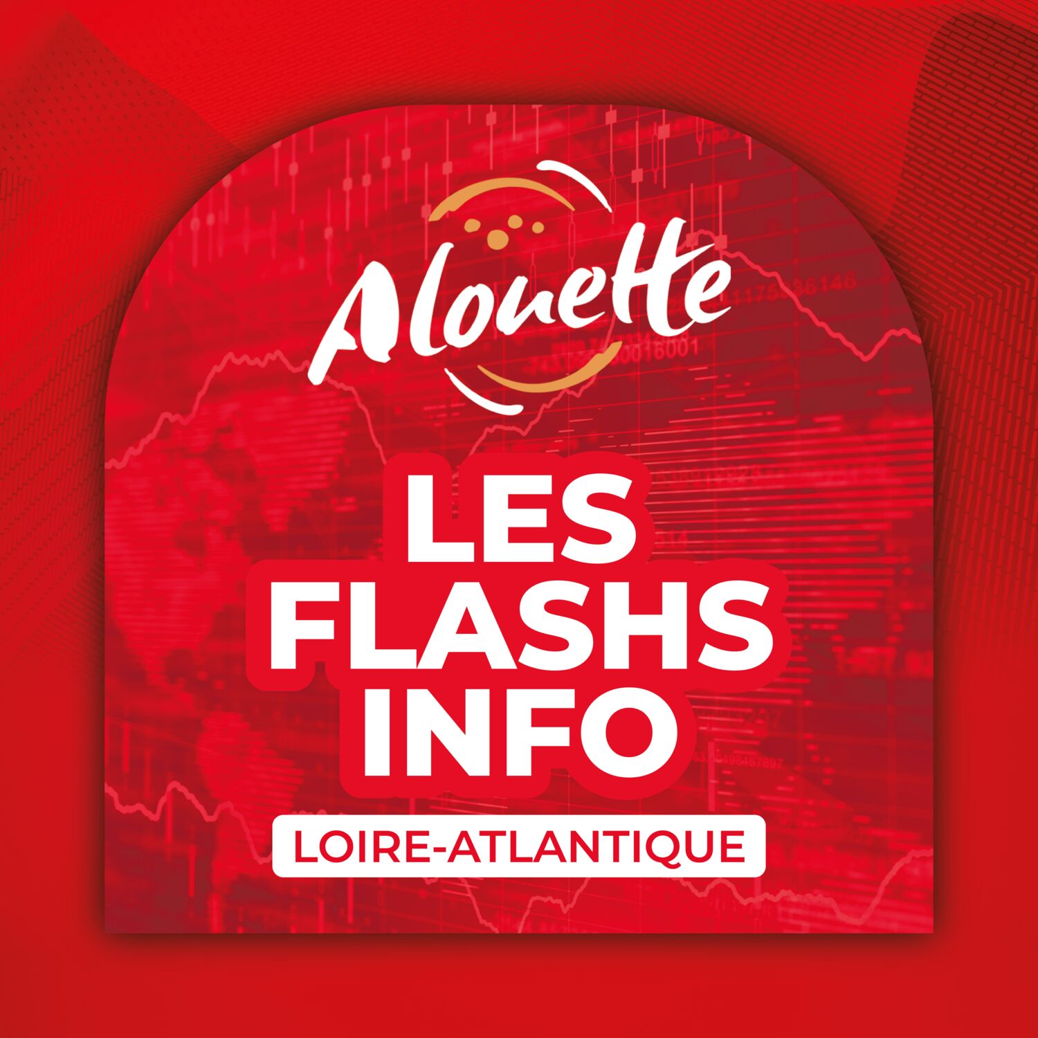 ALOUETTE - LES INFOS DU 19/11/2025 16H59 EN LOIRE-ATLANTIQUE