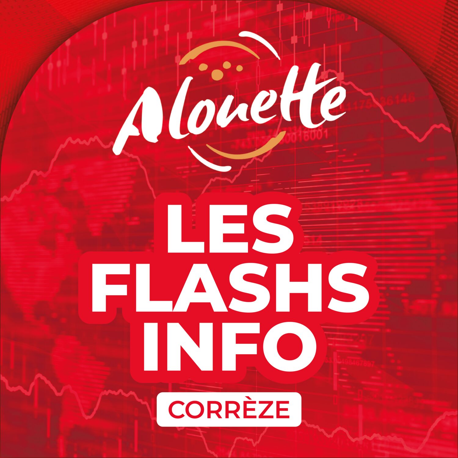 ALOUETTE - LES INFOS DU 05/12/2025 04H59 EN CORREZE
