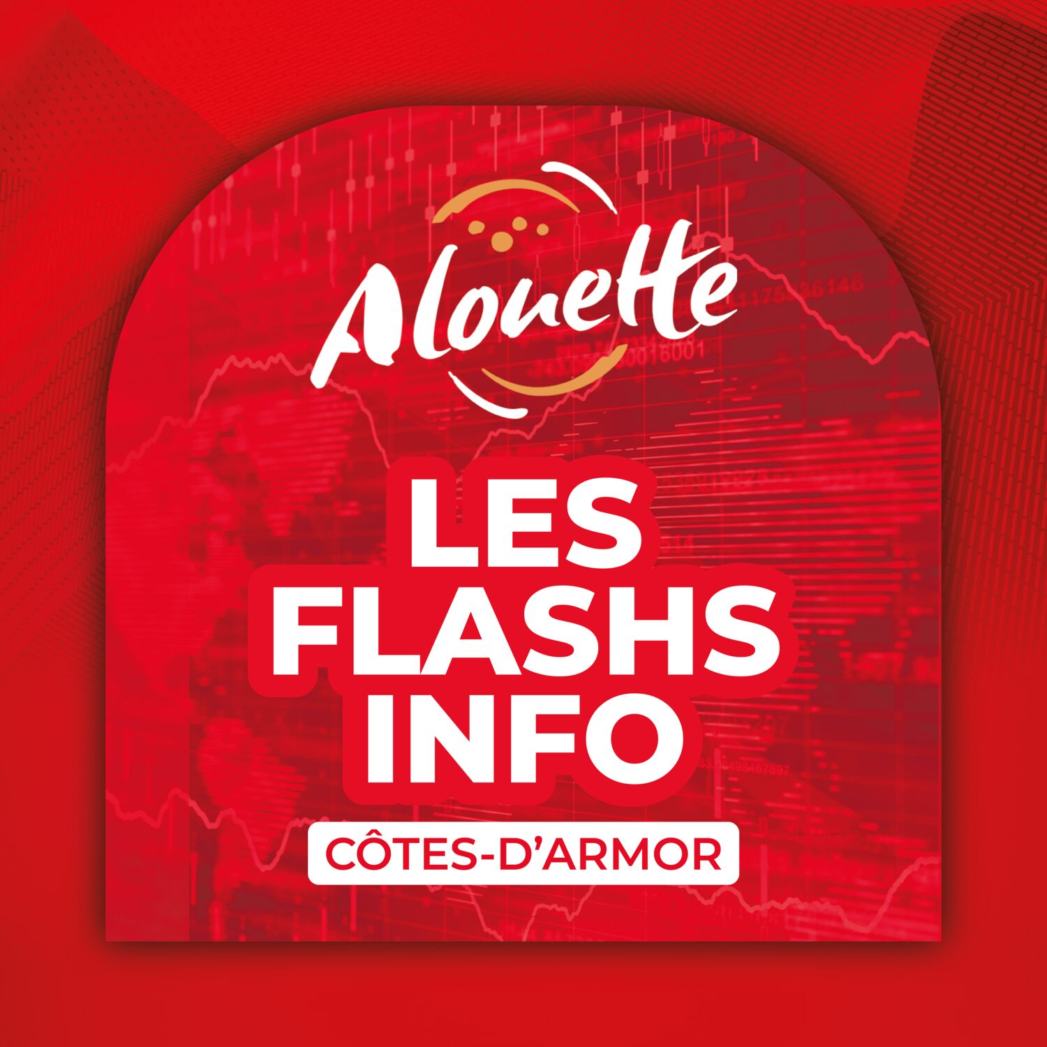 ALOUETTE - LES INFOS DU 20/11/2025 07H29 EN CÔTE-D'ARMOR