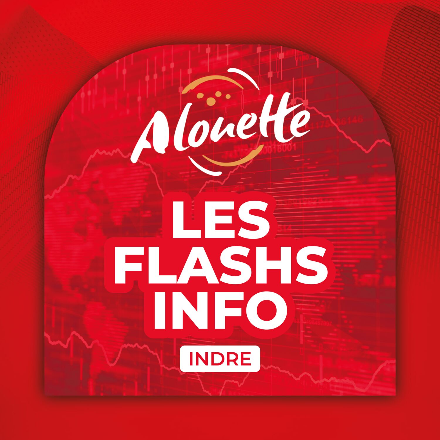ALOUETTE - LES INFOS DU 19/11/2025 10H59 DANS L'INDRE