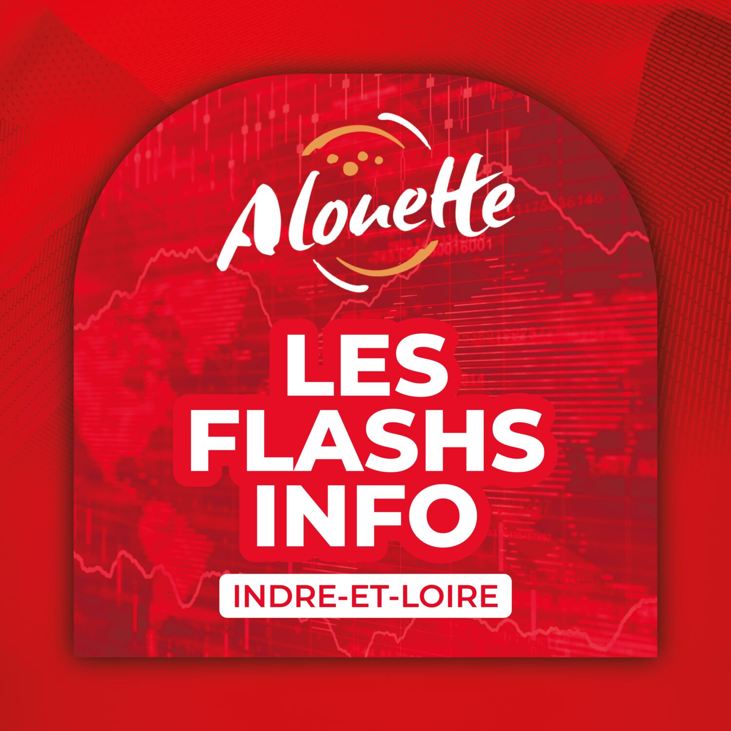 ALOUETTE - LES INFOS DU 20/11/2025 08H59 DANS L'INDRE-ET-LOIRE
