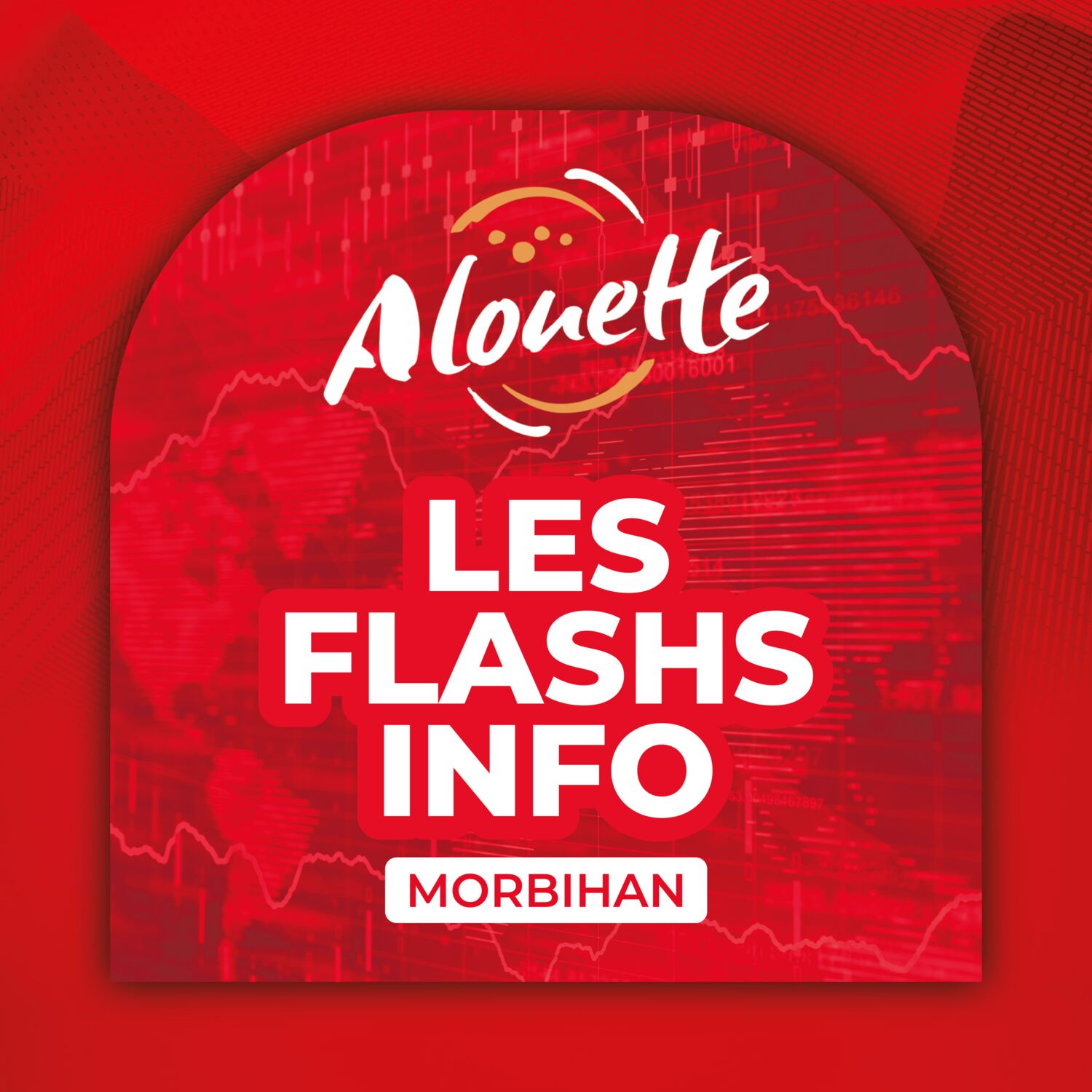 ALOUETTE - LES INFOS DU 20/11/2025 10H58 DANS LE MORBIHAN