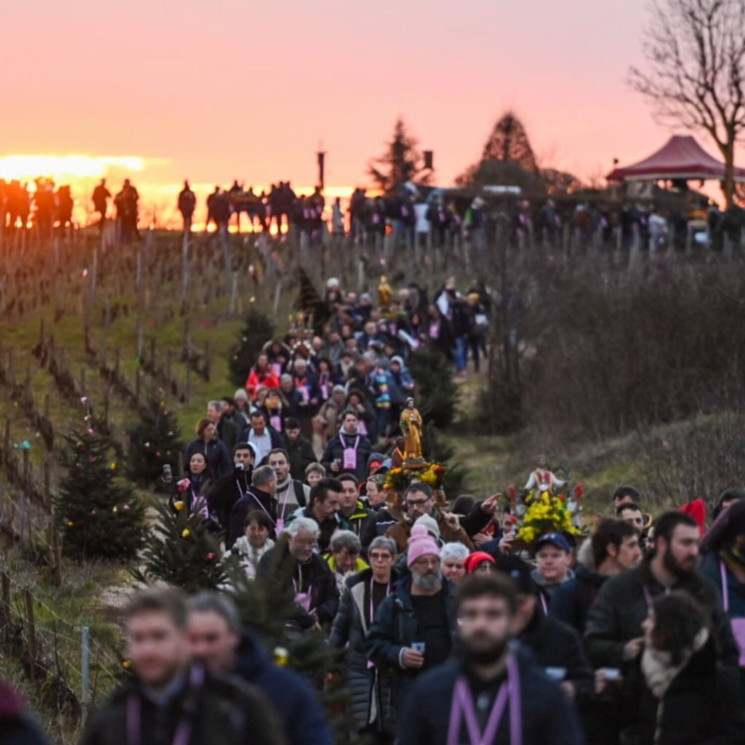 Tout savoir sur la Saint-Vincent Tournante, qui arrive ce week-end...