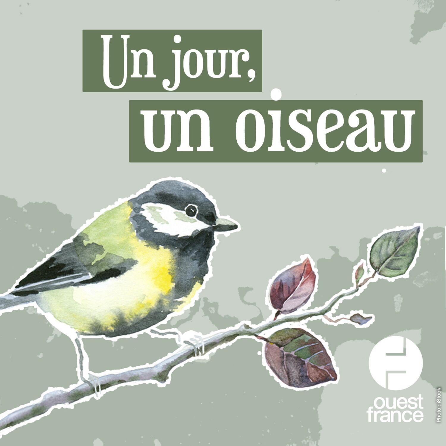 Un jour, un oiseau