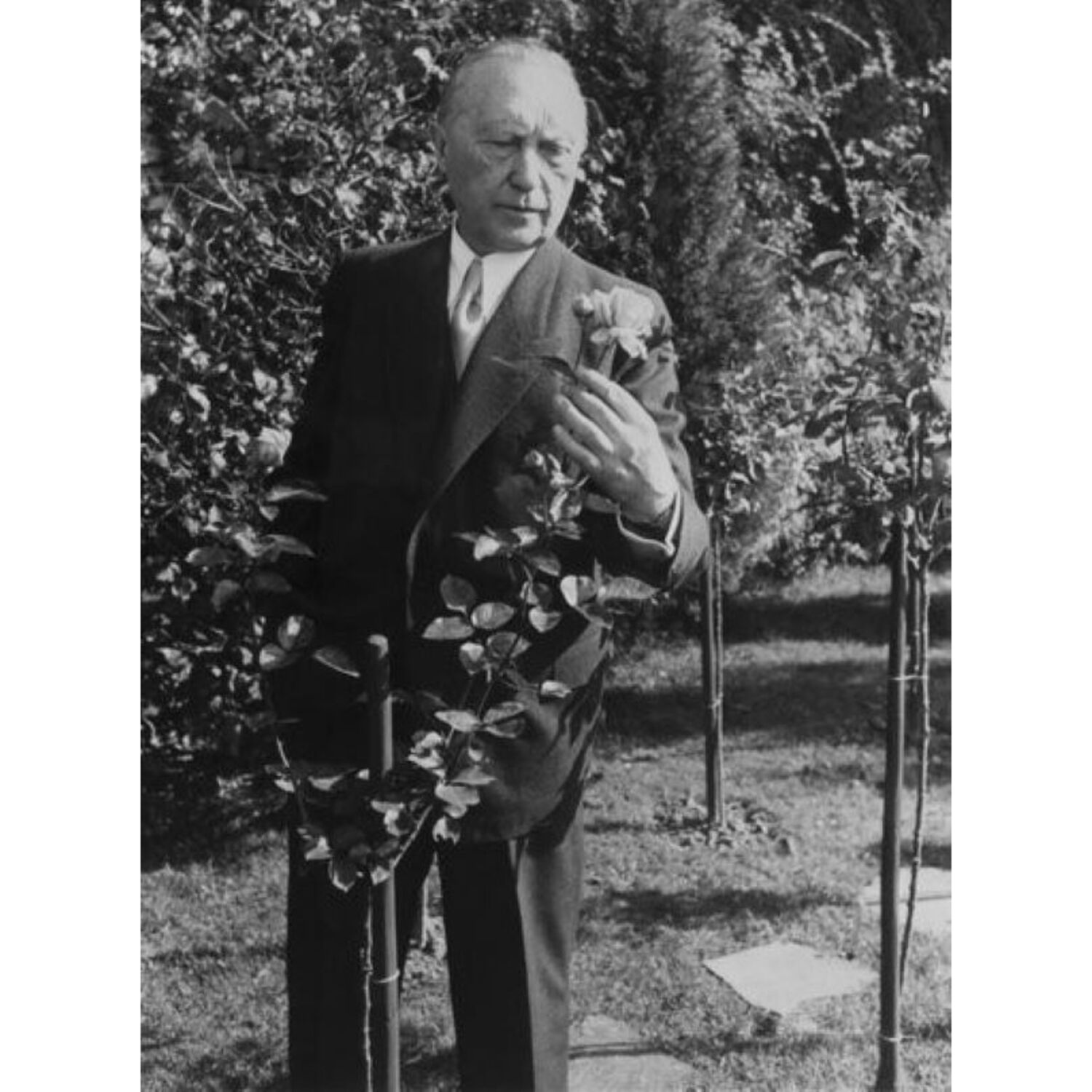 Konrad Adenauer – Symbol für Einheit und Frieden