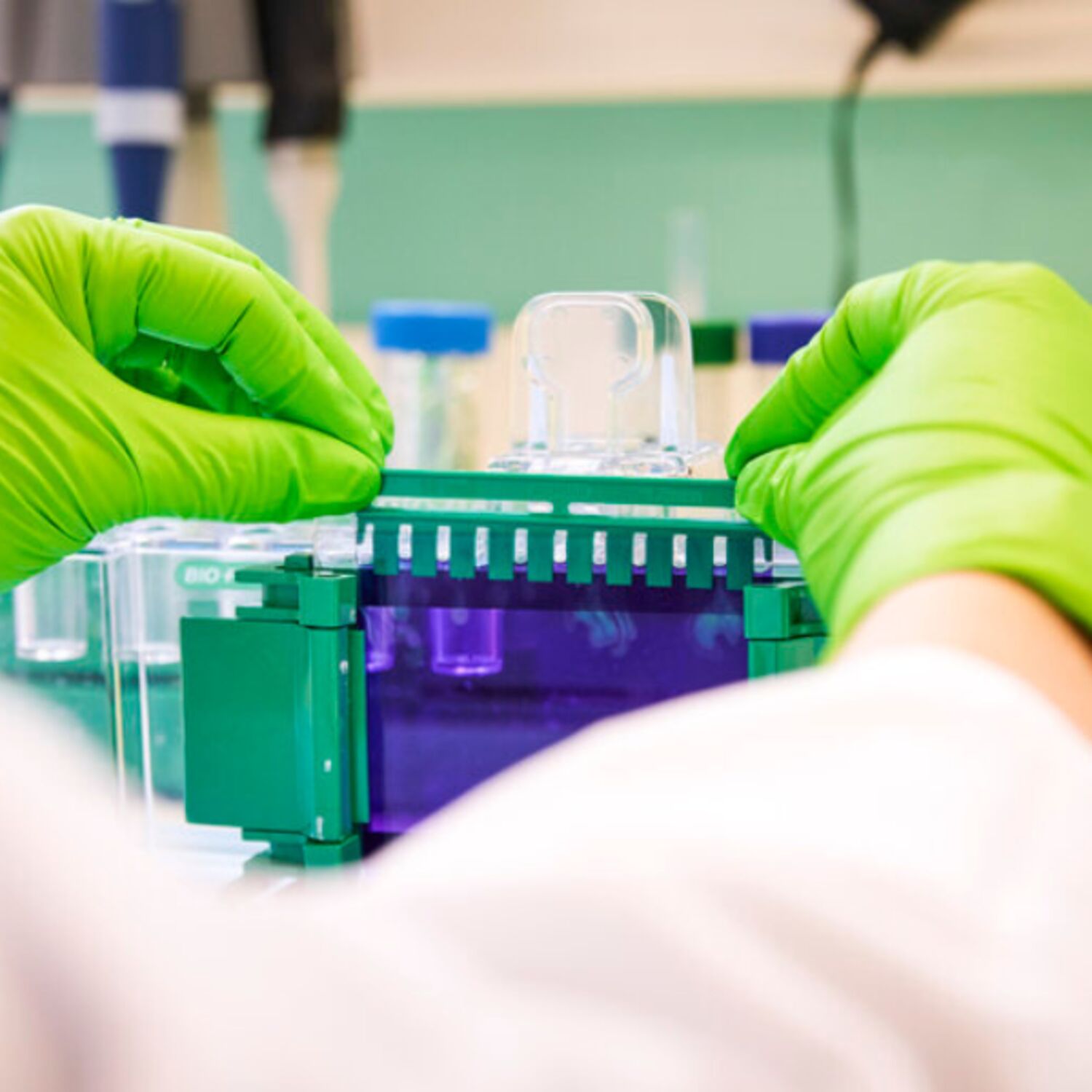 Wochenrückblick – 31. Oktober 2025 Wochenrückblick – 31. Oktober 2025