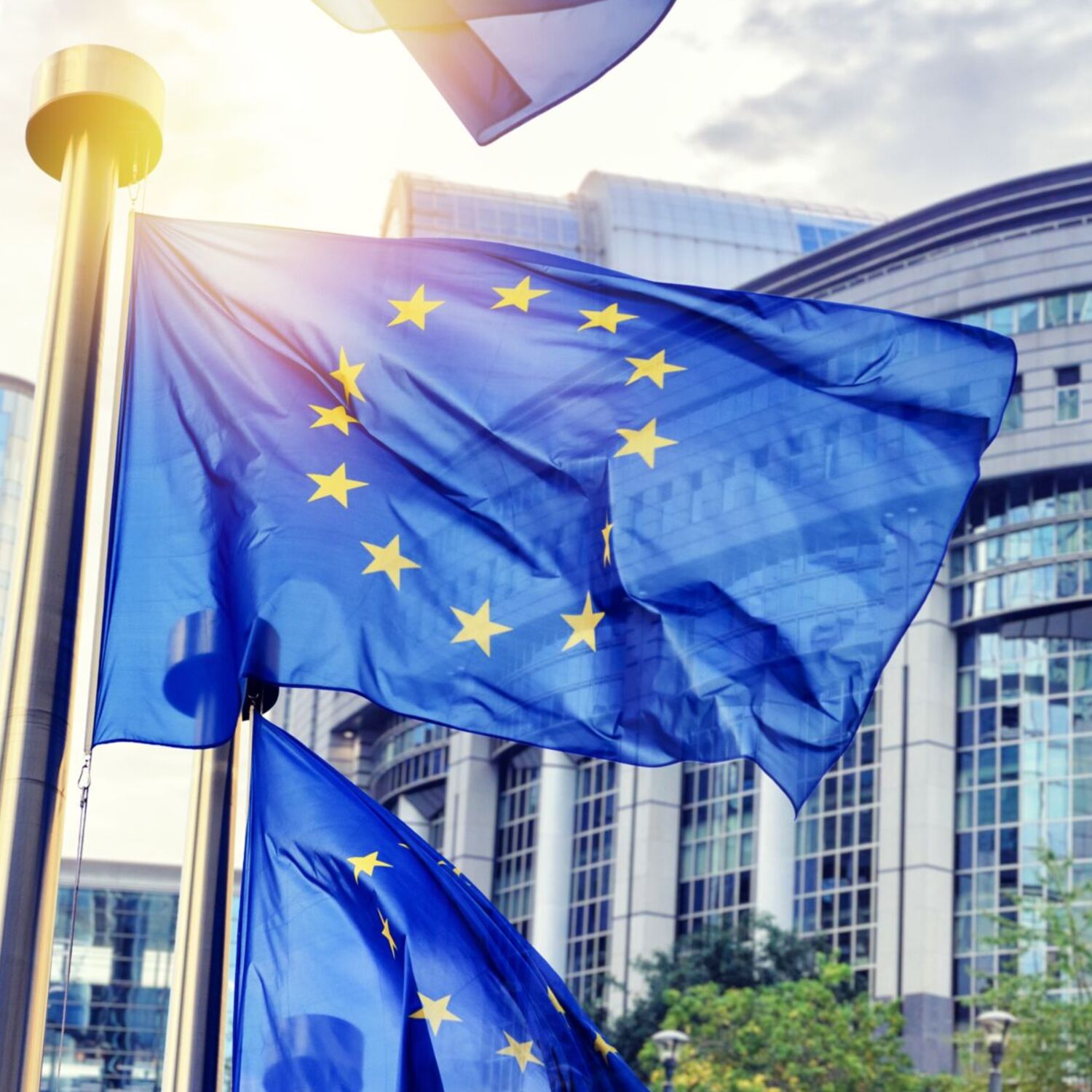 Europa und ich