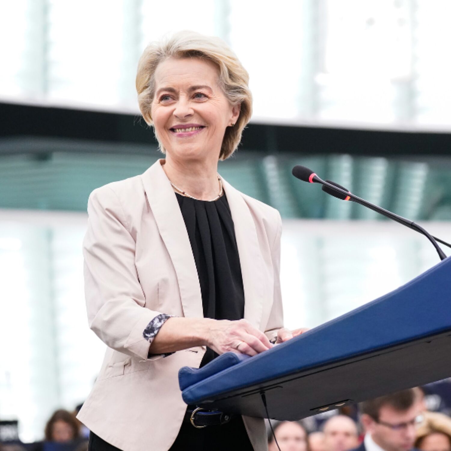 Was war Thema im Plenum? – Straßburg, Novembertagung 2024