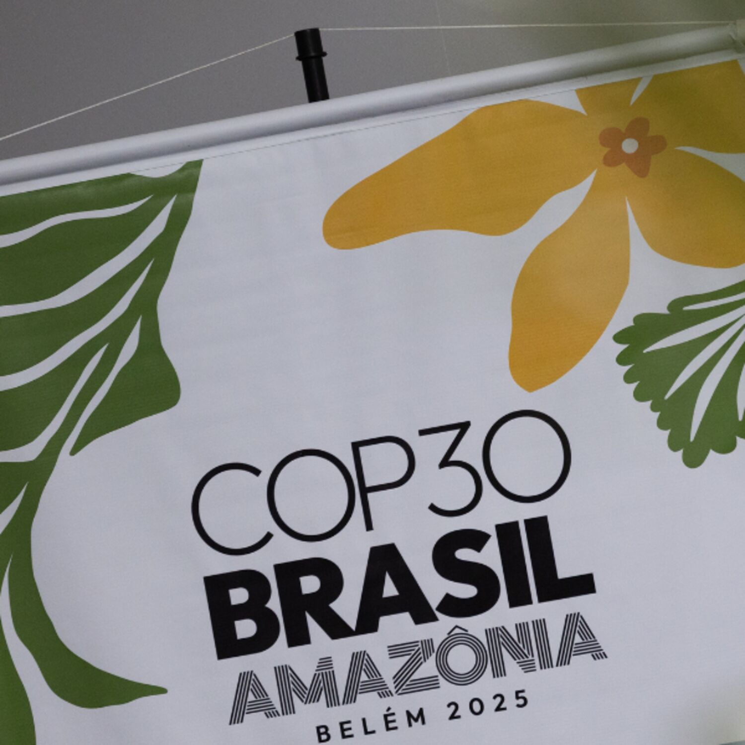 Wochenrückblick – 14. November 2025 Wochenrückblick – 14. November 2025