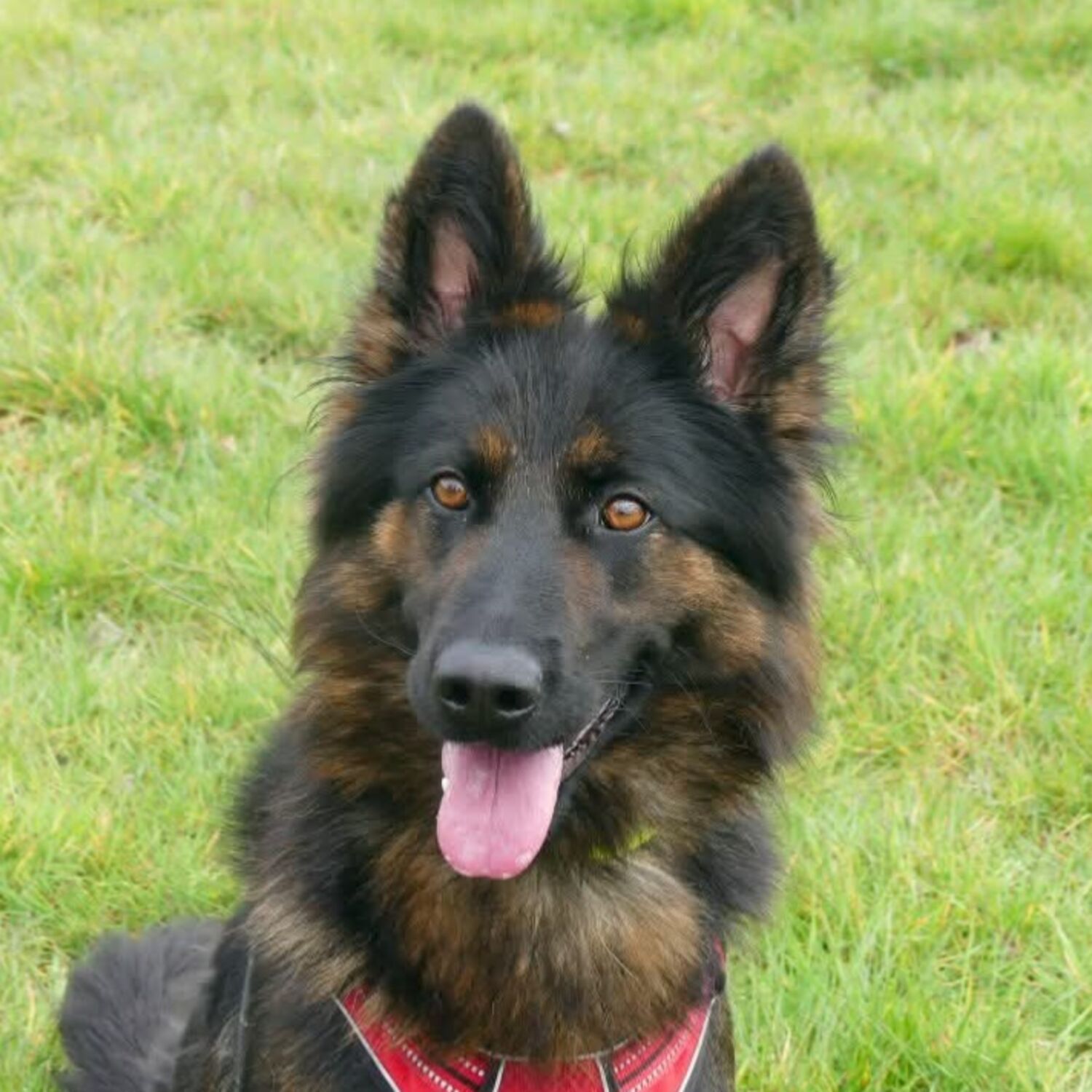 Le refuge de Maubert-Fontaine fête ses 1 an !