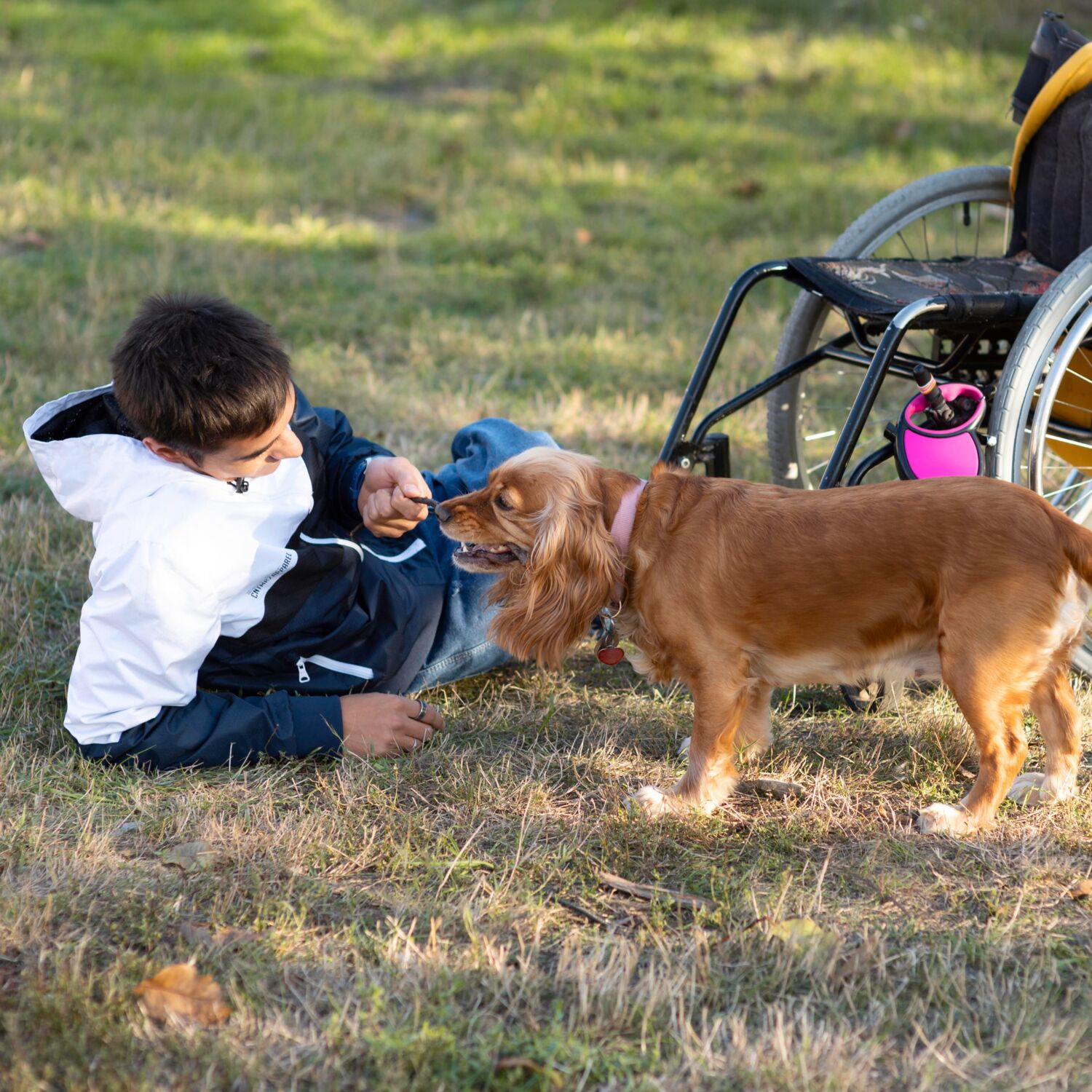 Conférences « interactions humain-animal » à Reims