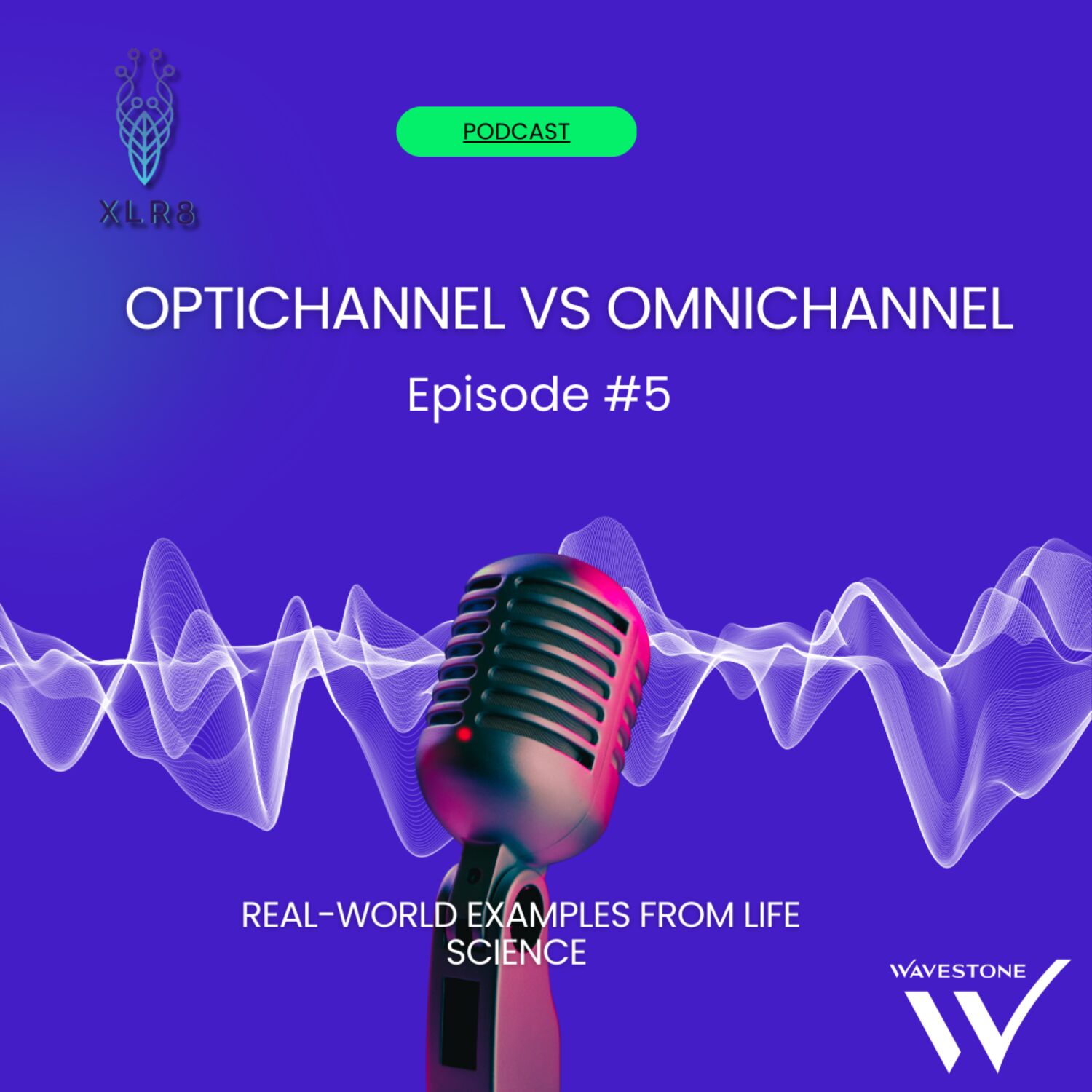 Optichannel vs Omnichannel with Olena Shchepina episode artwork