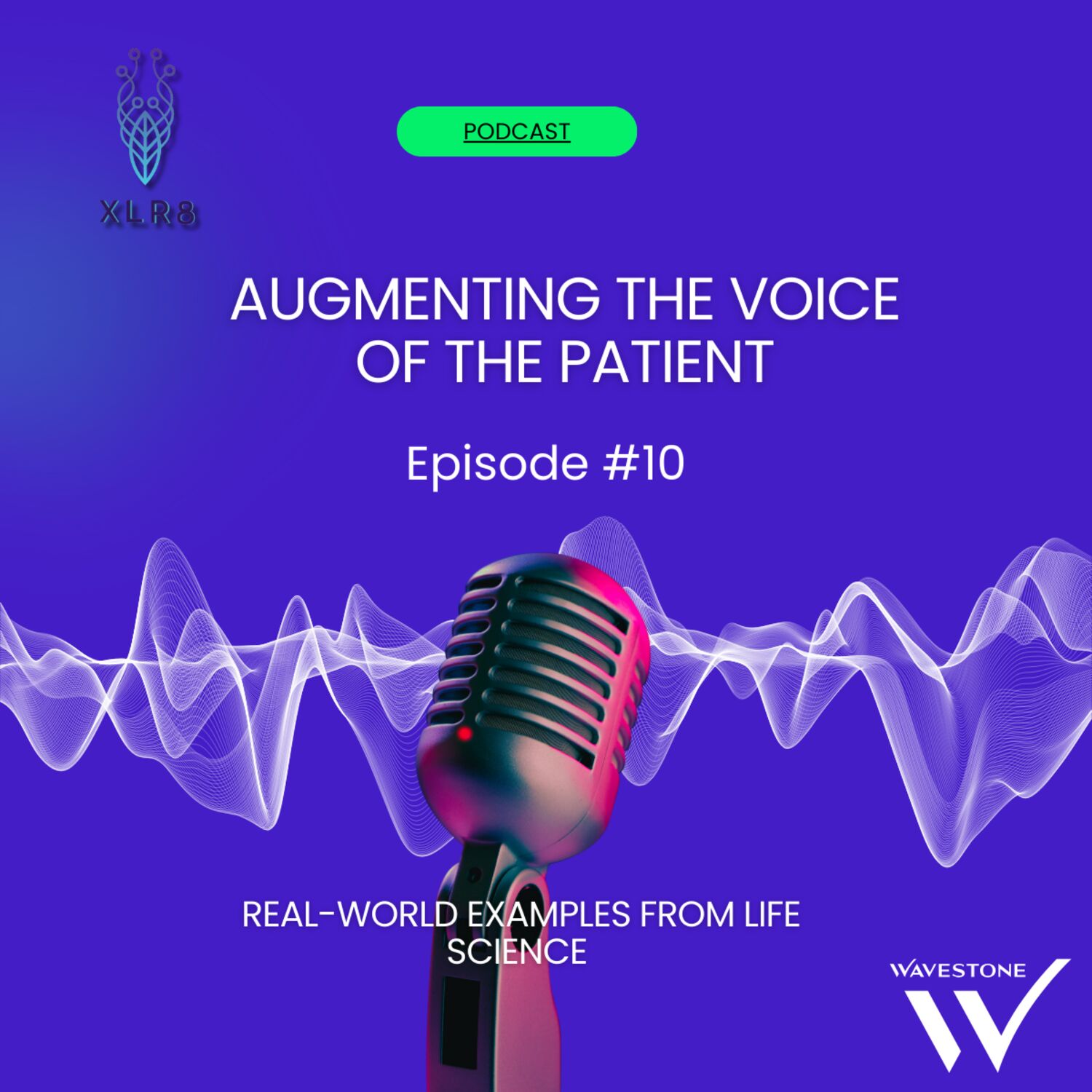 Augmenting the voice of the patient episode artwork