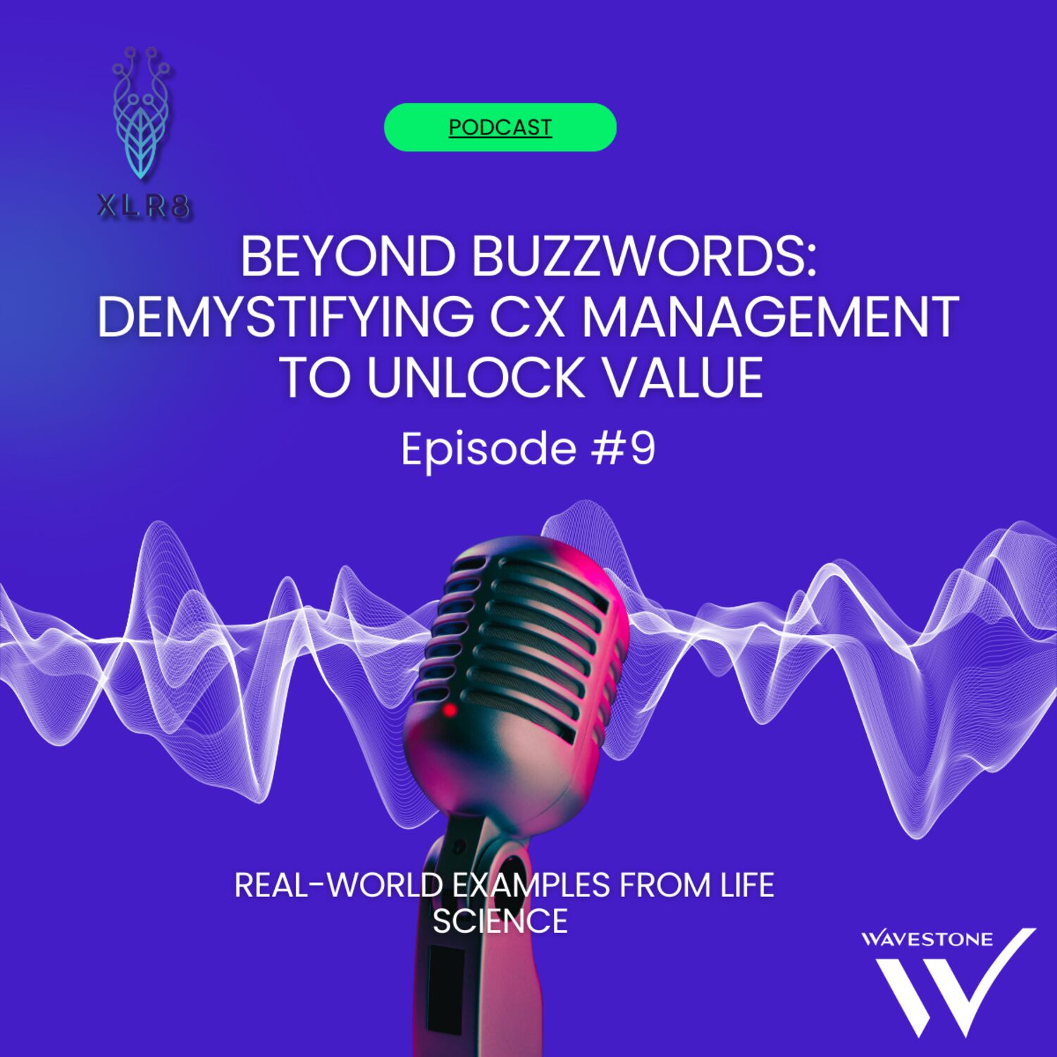 Beyond buzzwords: demystifying CX Management to unlock value episode artwork
