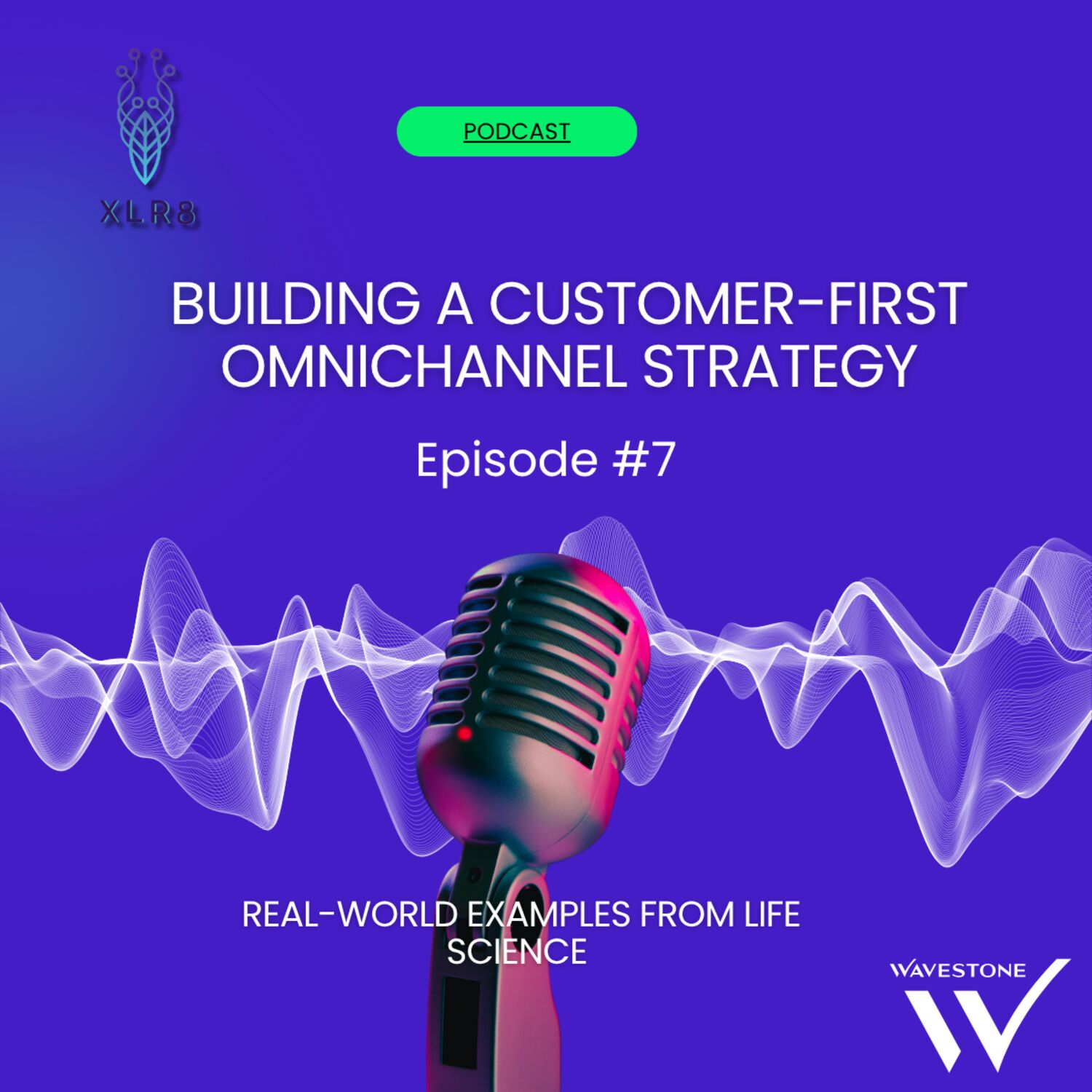 Building a customer-first omnichannel strategy episode artwork