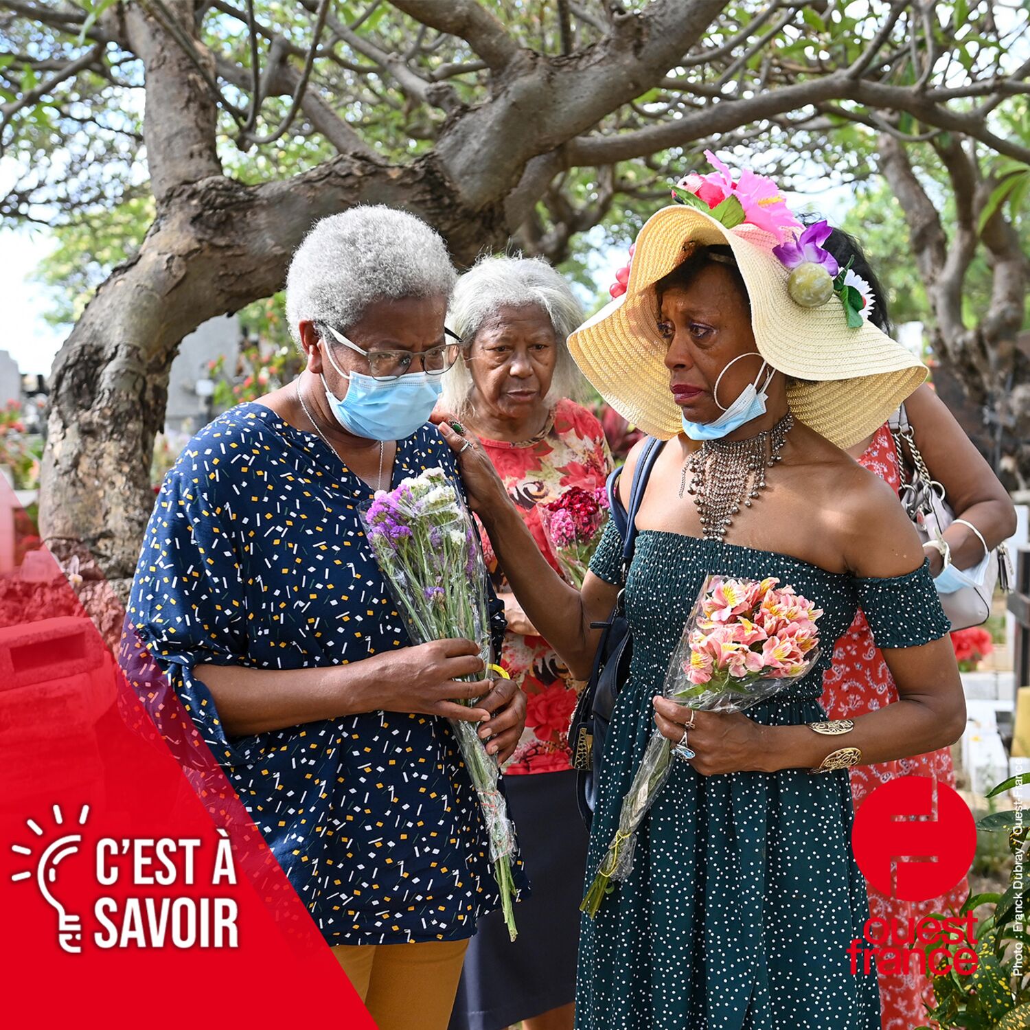 « Enfants de la Creuse » : Daisy a retrouvé sa sœur