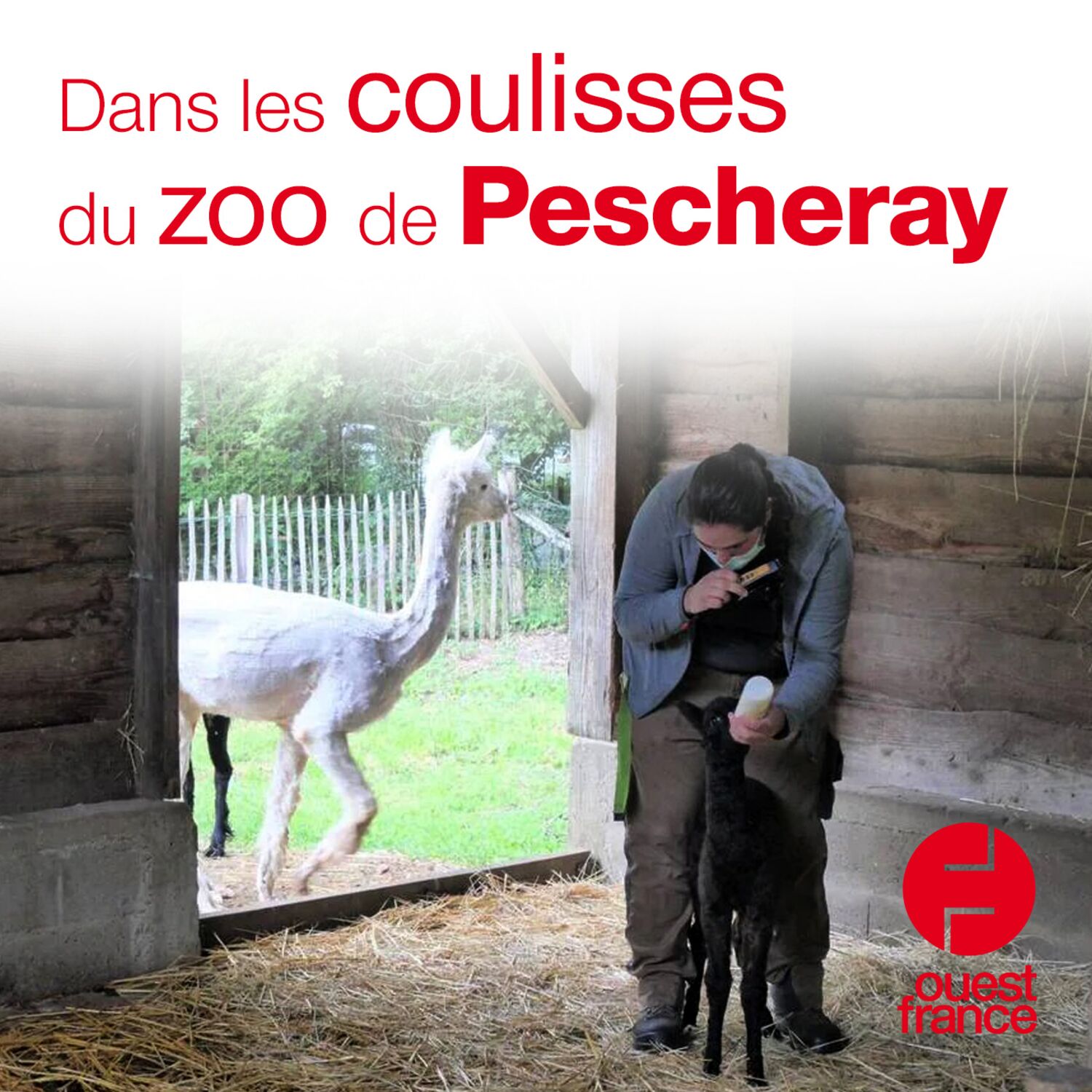 Une fois dans l\'Ouest