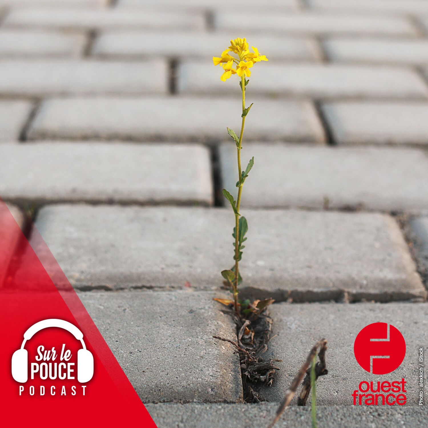 mardi 4 avril 2023 - En Belgique, un concours pour...casser du béton!