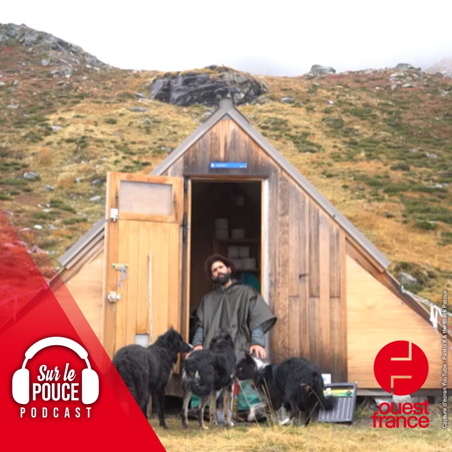 31 mars 2023 - Pour dire leur colère, ces bergers se sont mis au rap