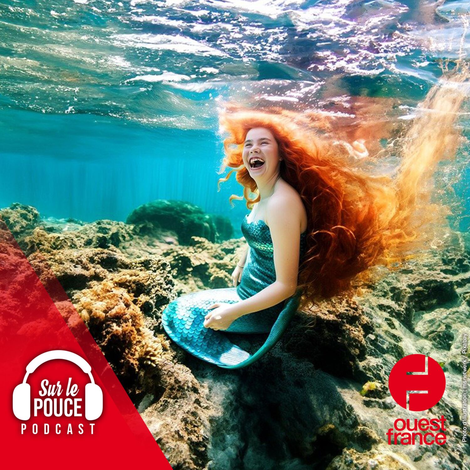 13 juillet 2023 - En France, une école d'apnée permet de devenir...