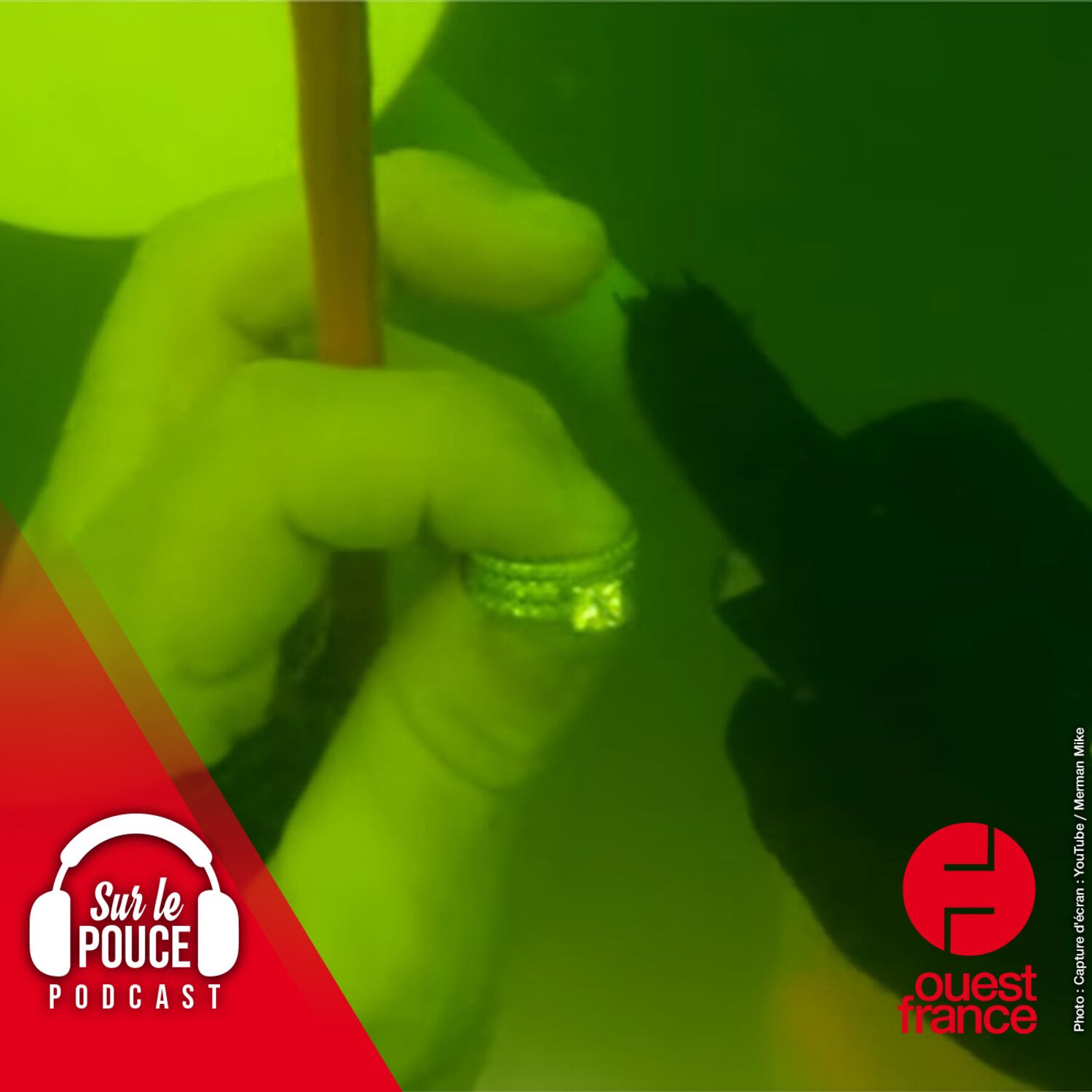 19 juillet 2023 - Un plongeur retrouve gratuitement une alliance à...