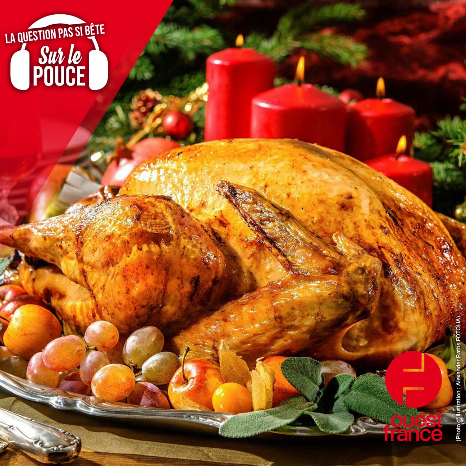 Pourquoi mange-t-on de la dinde à Noël ?