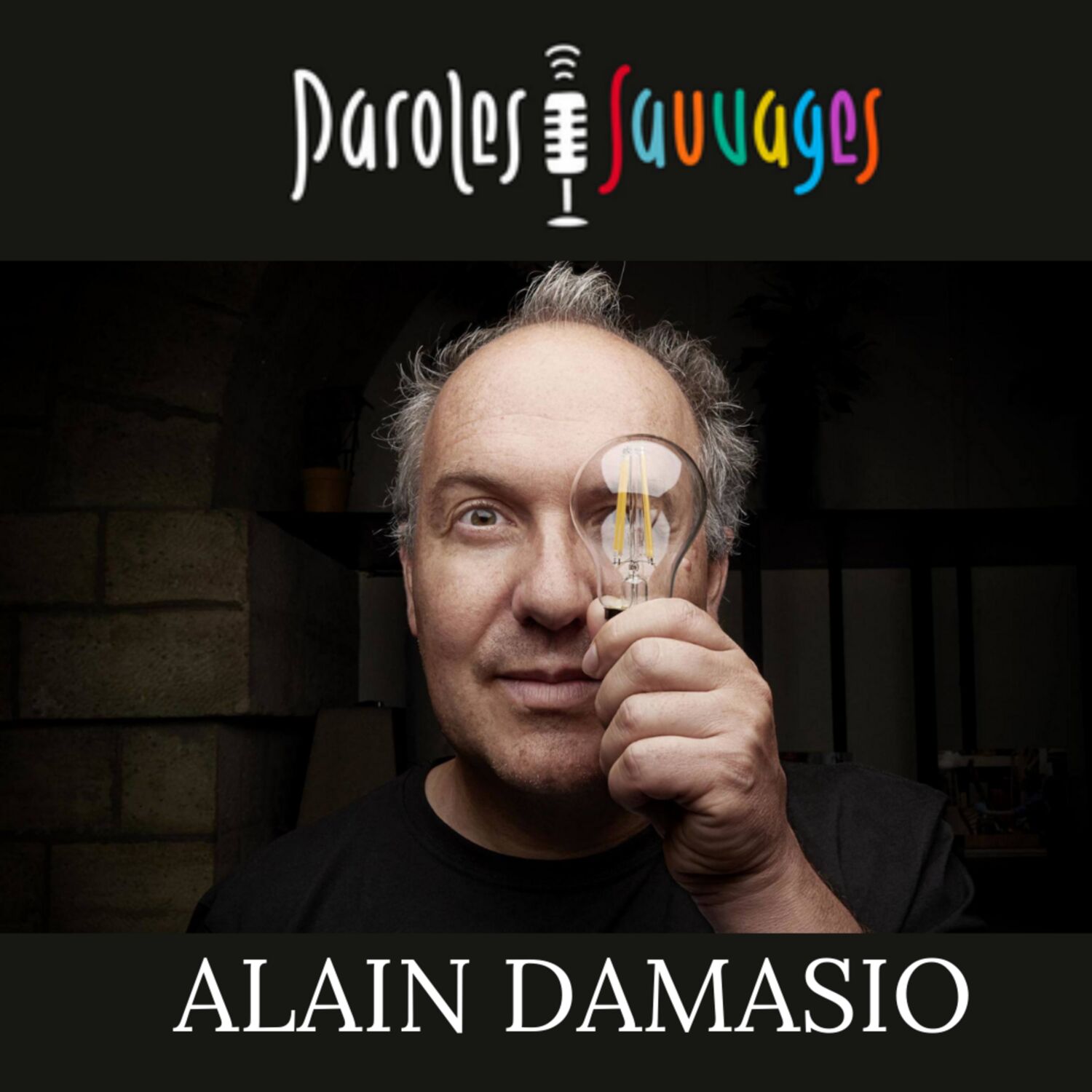 #9 L'hymne à la joie de l'écrivain Alain Damasio