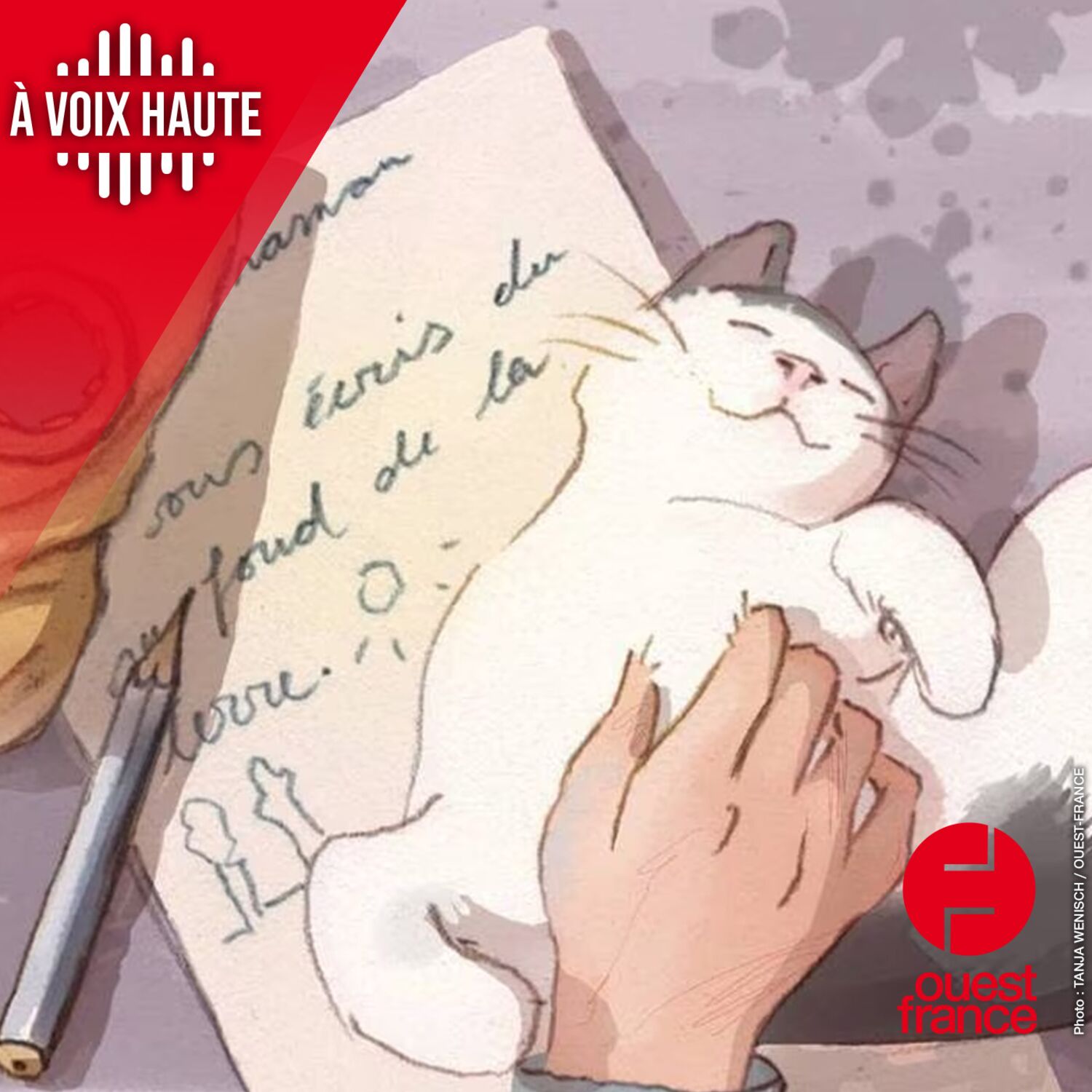 A VOIX HAUTE. Les chats, les mascottes des tranchées
