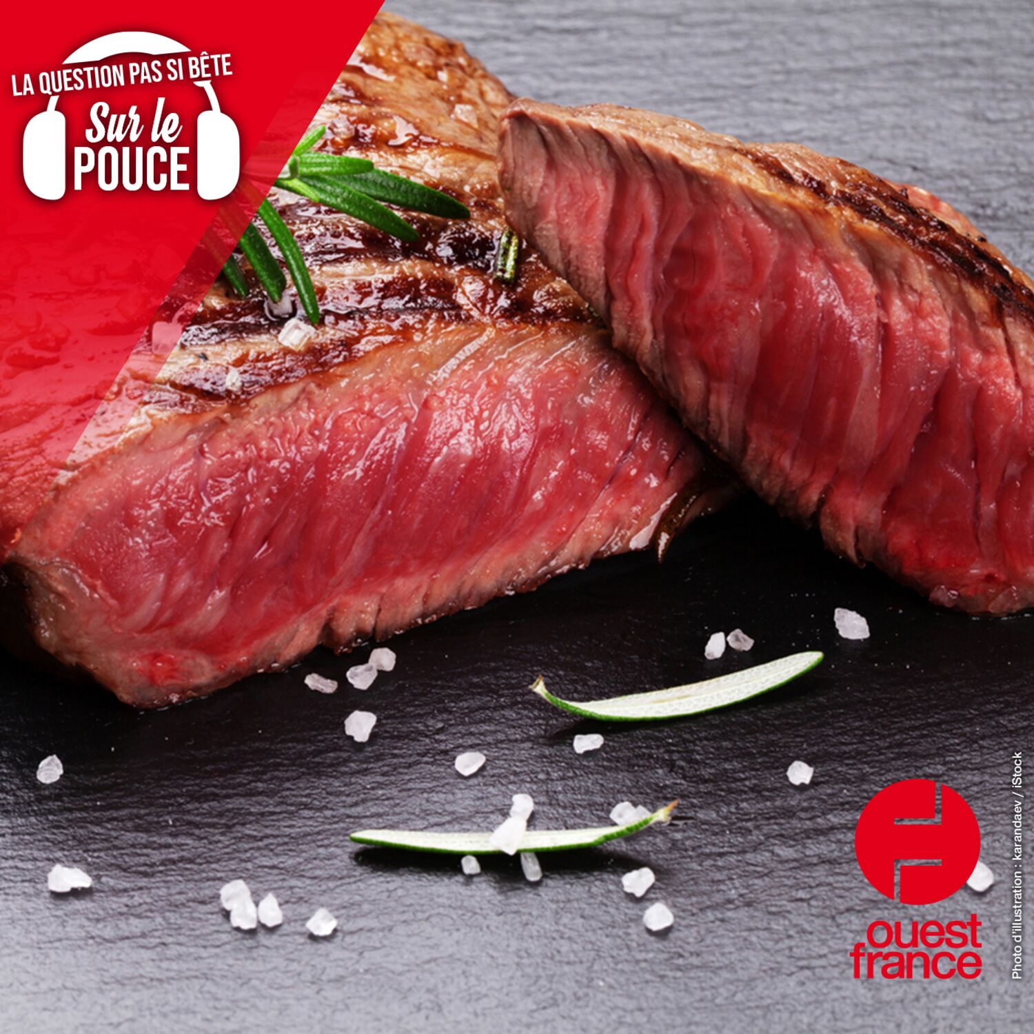 Pourquoi peut-on consommer la viande de bœuf bleue, mais pas la...