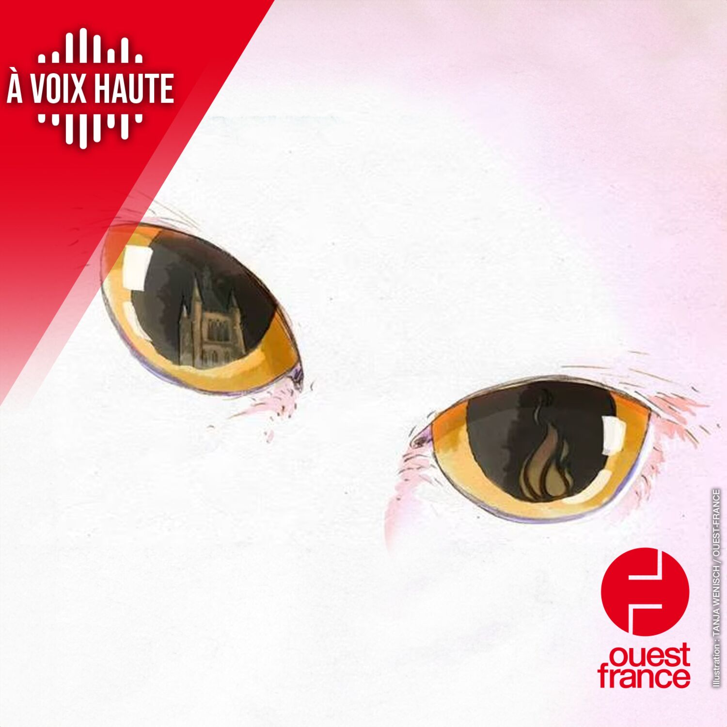 A VOIX HAUTE. Au Moyen Âge, les chats, c’était le diable