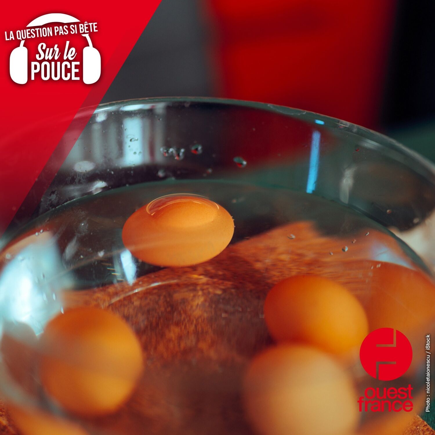 Pourquoi les œufs flottent-ils quand ils ne sont pas frais ?