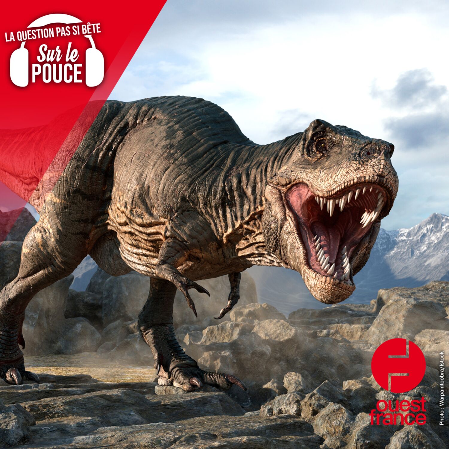 Combien de temps vivaient réellement les dinosaures ?