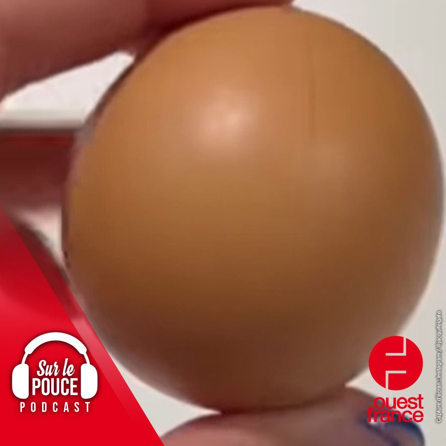 16 mai 2023 - Parfaitement rond, cet œuf pourrait être revendu très...