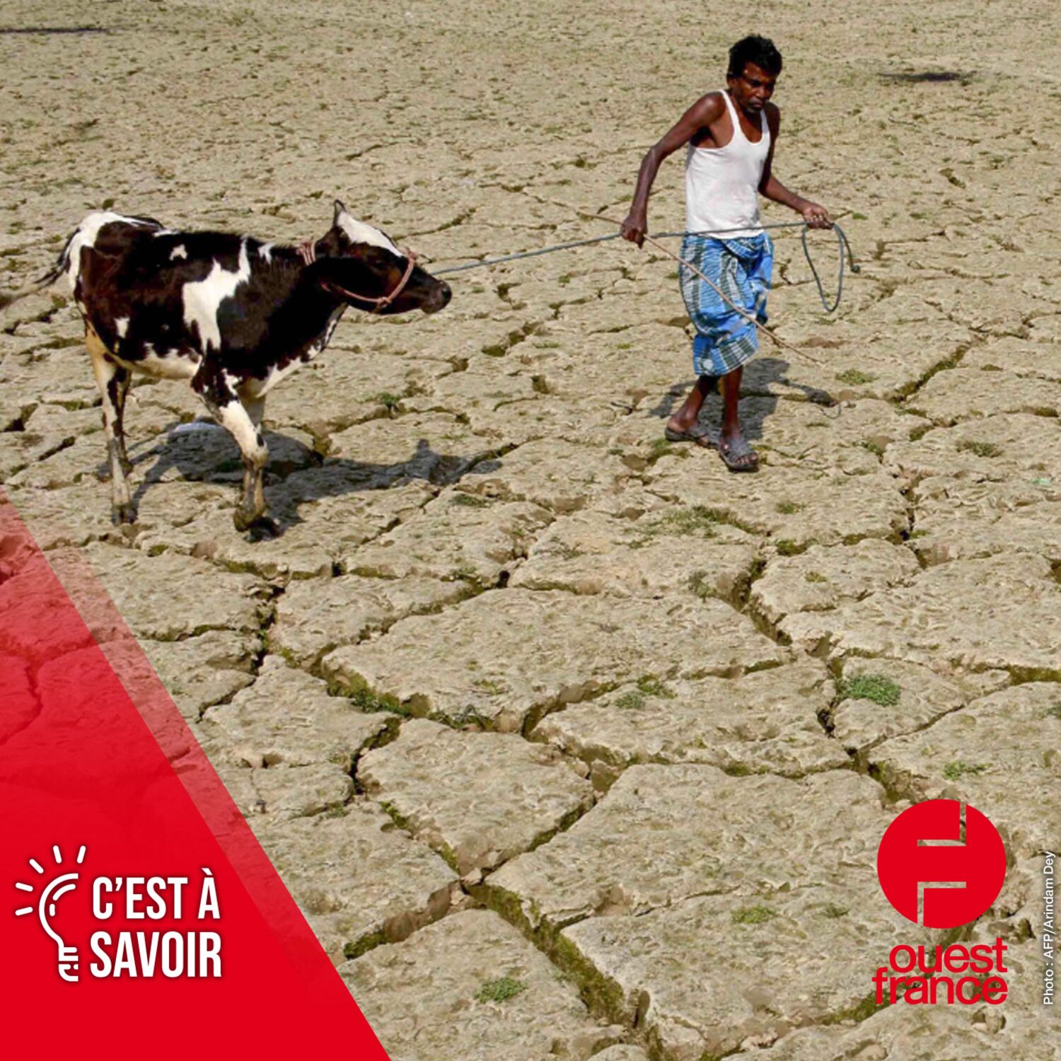 L'humanité va-t-elle survivre au réchauffement climatique ?