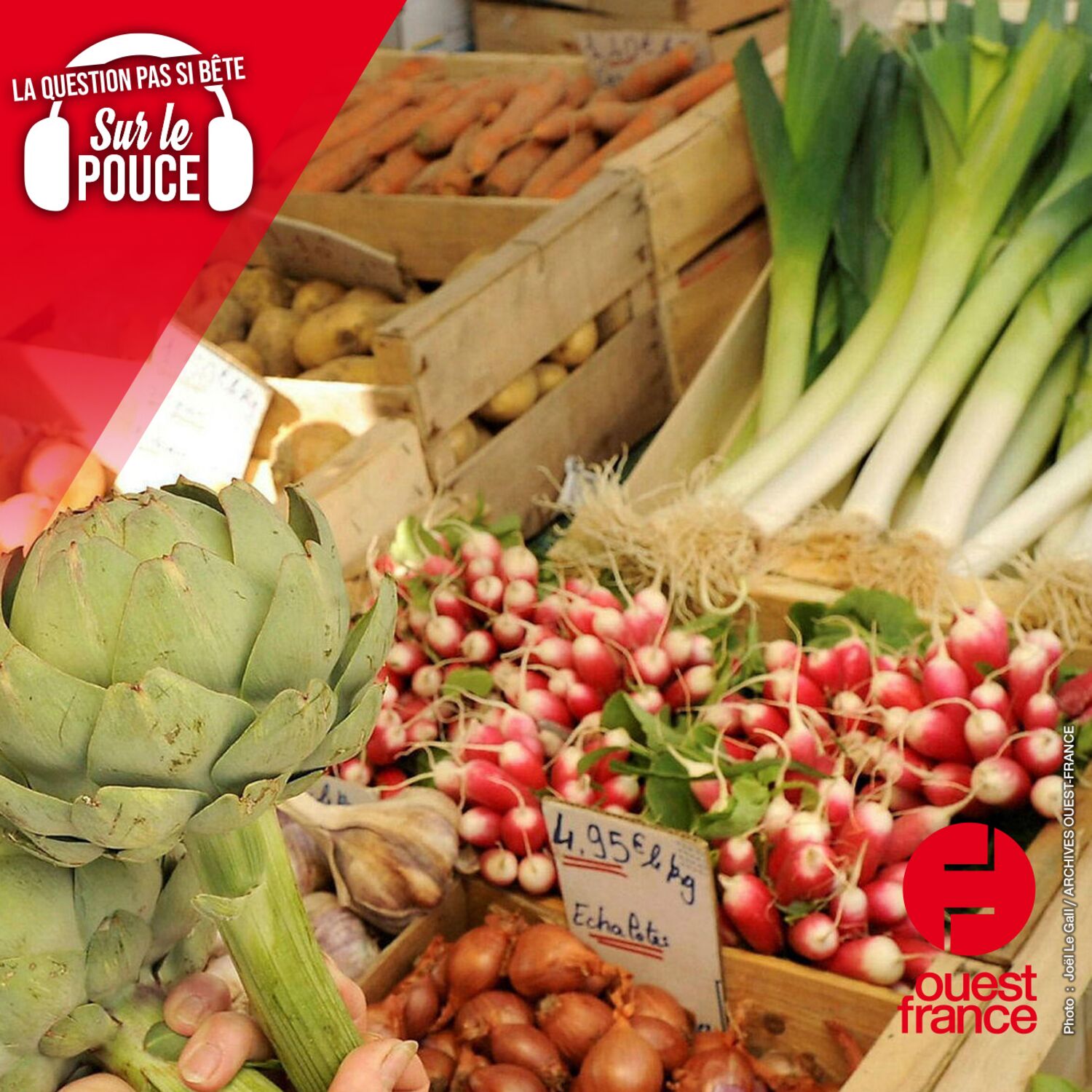 Pourquoi dit-on qu’il faut manger 5 fruits et légumes par jour ?