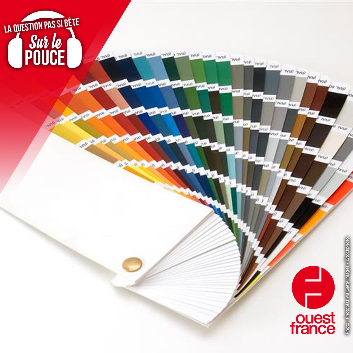 Quelle est la couleur la plus moche du monde ?