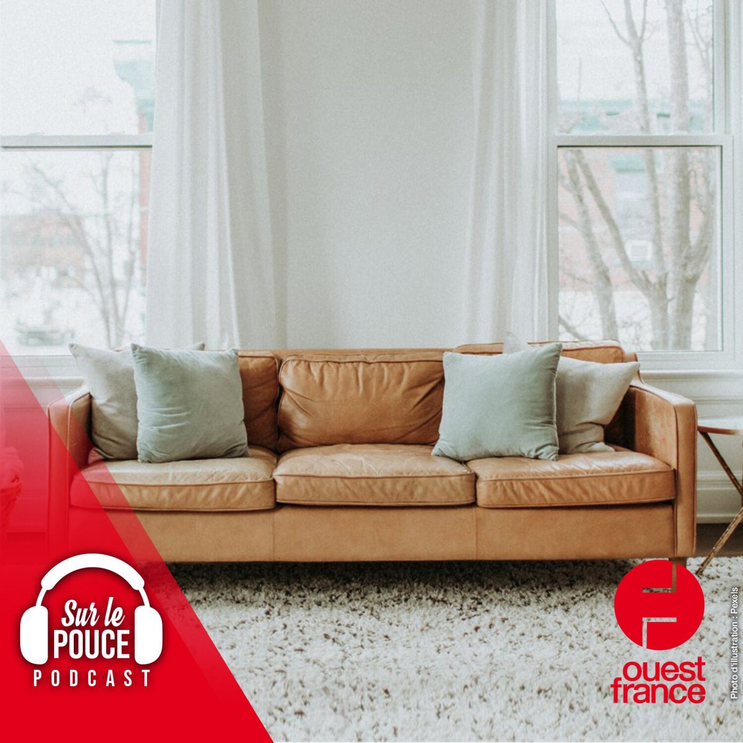 27 juillet 2023 - Il oublie 18 000 € dans le canapé qu'il vient de...