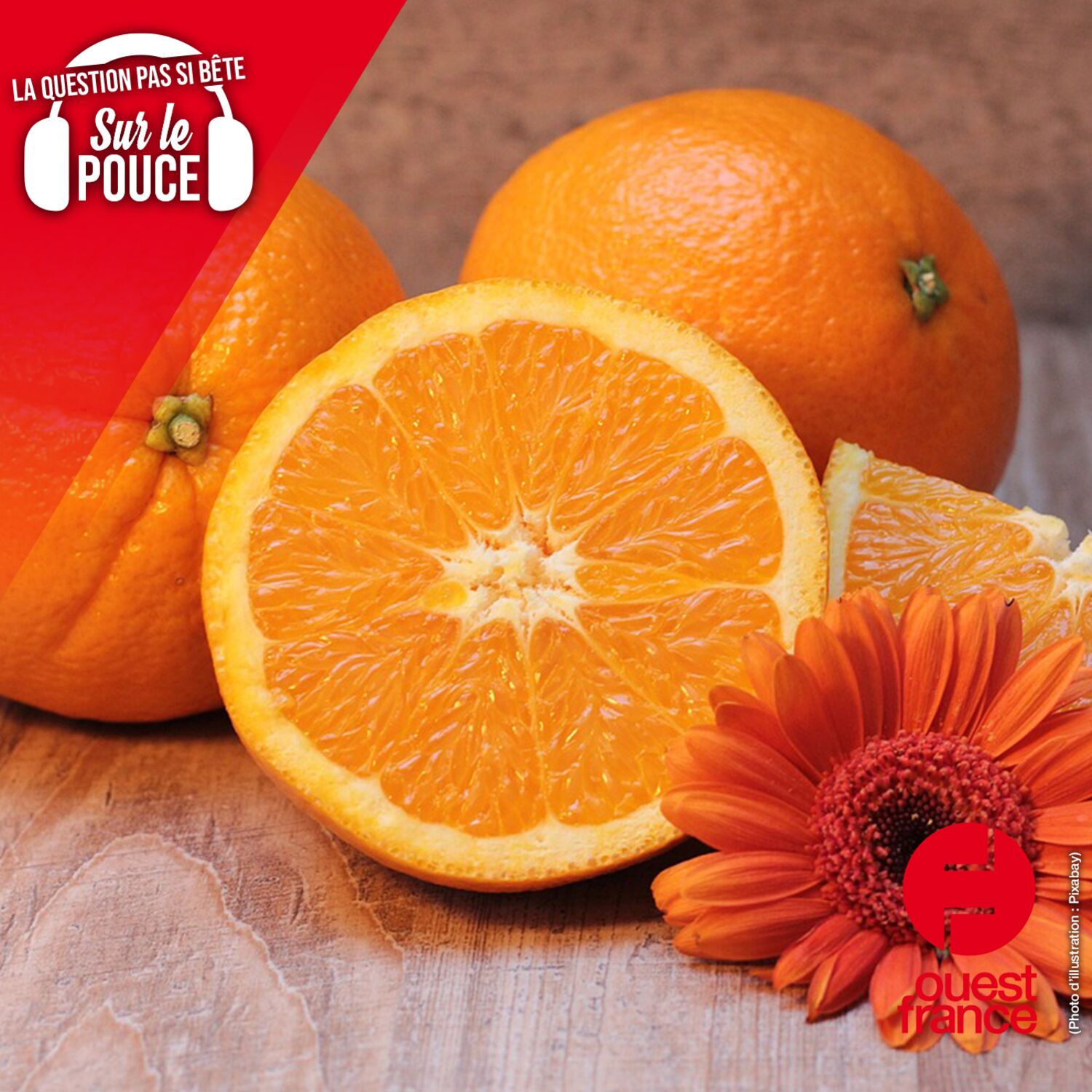 Pourquoi offrait-on une orange à Noël ?