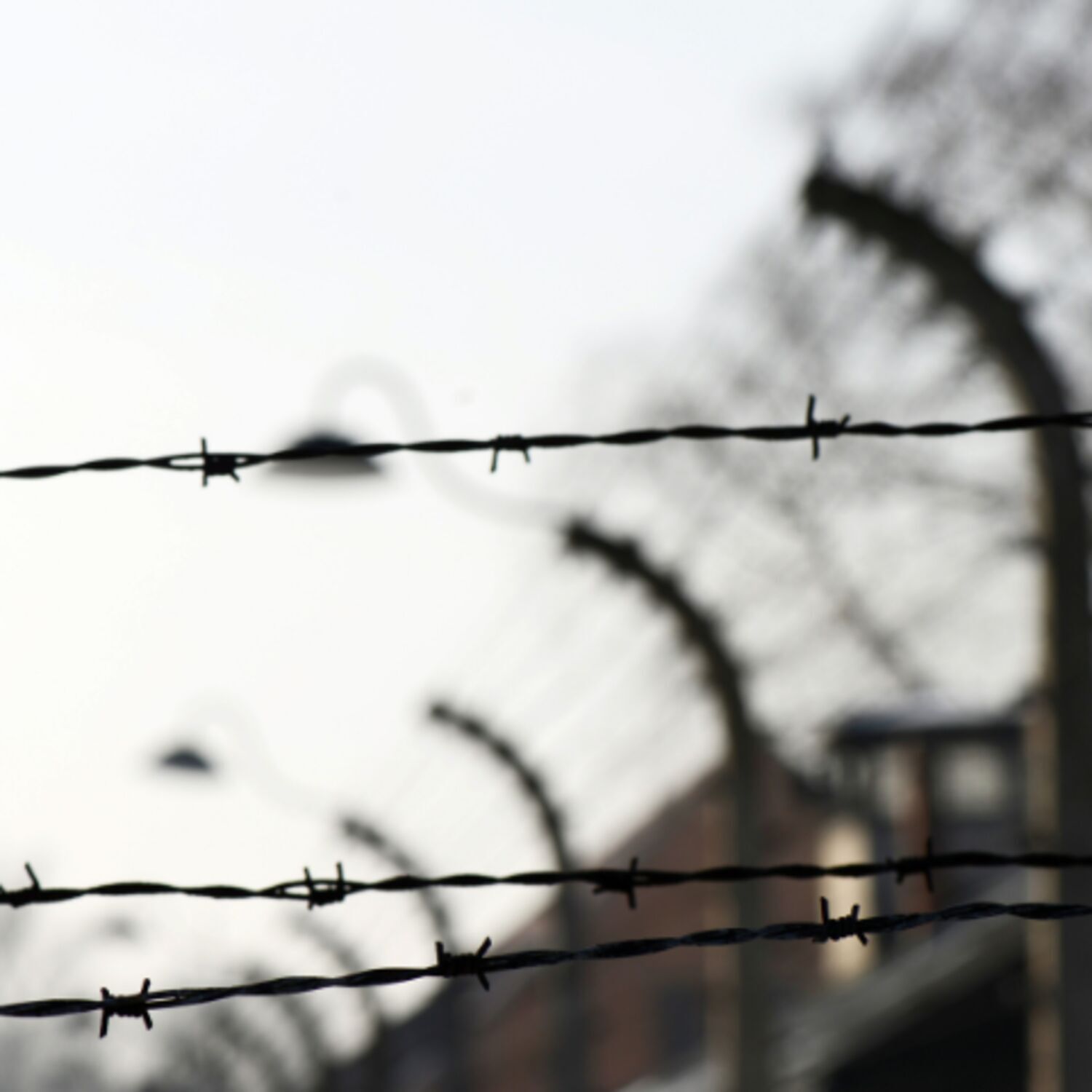 Starptautiskā holokausta upuru piemiņas diena