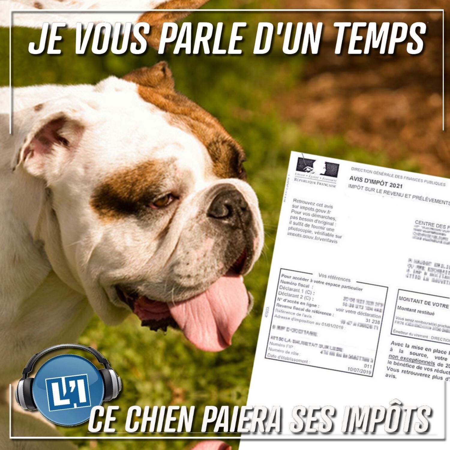 CE CHIEN PAIERA SES IMPOTS !
